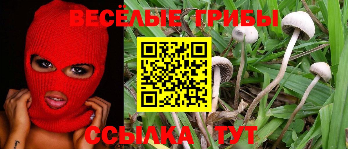 Галлюциногенные грибы прущие грибы Костомукша