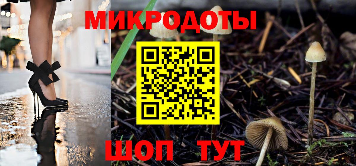 Галлюциногенные грибы Psilocybe  Псилоцибиновые грибы MAGIC MUSHROOMS  Вход с VPN  Костомукша 